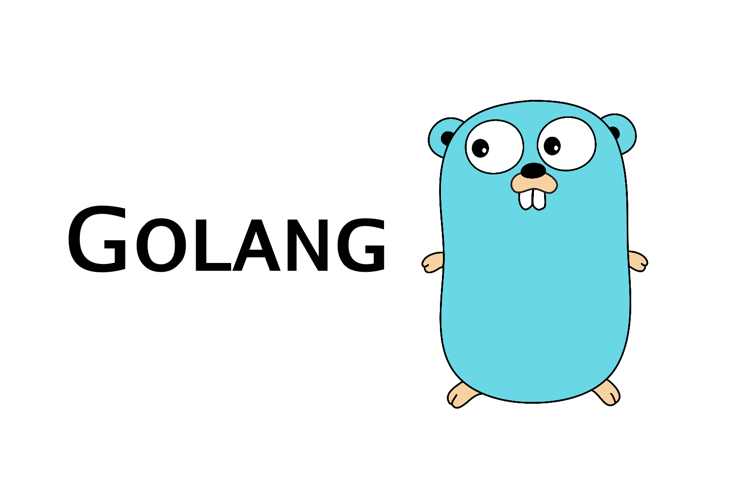 notas-sobre-go-golang-para-programadores